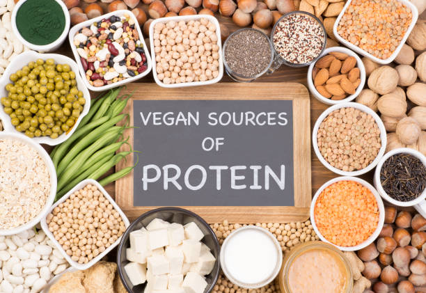 Vegetarian Protein : సప్లిమెంట్స్ వద్దు.. ఖర్చు వద్దు: ఇంట్లోనే 100 గ్రాముల వెజ్ ప్రోటీన్!