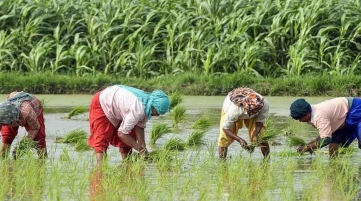 Telangana Farmers Scheme