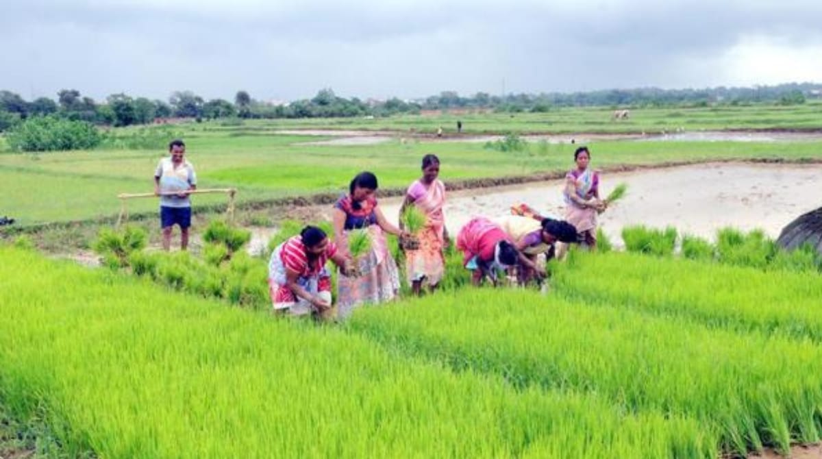 Telangana Farmers News