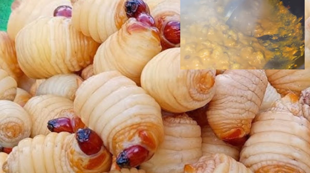 Boddengi Purugu Curry