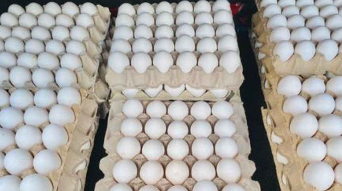 AP Egg Prices: యుద్ధం దెబ్బ.. కోడిగుడ్డు అబ్బా! ఇజ్రాయెల్ పోరుతో పౌల్ట్రీ రంగానికి భారీ నష్టం.!!